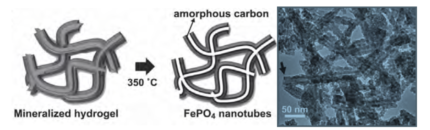 synteza materiałów nanostrukturalnych z czynnikami biologicznymi